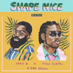 Afro B - Shape Nice ft. Vybz Kartel x Dre Skull